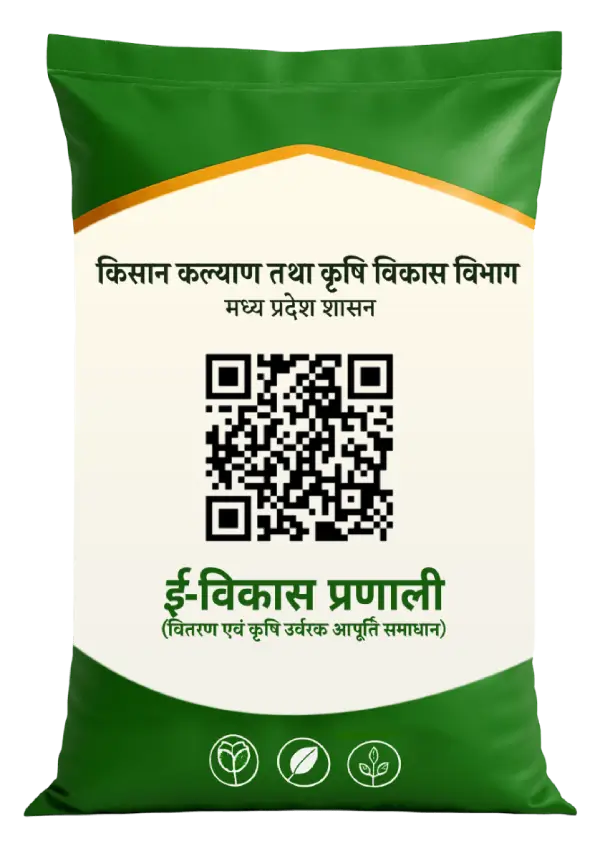 ई-विकास Bag
